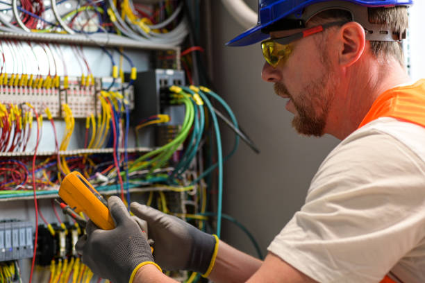 Best Electric Panel Repair  in Cold Springs, NV